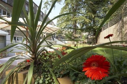 The Parkcity Hotel London - The Parkcity Hotel Garden