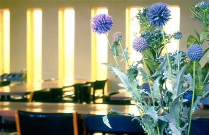 Carr-Saunders Hall -