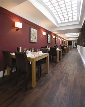 Dolphin House Serviced Apartments - Dolphin Bar & Grill