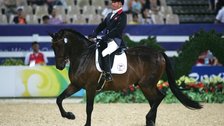 Paralympic Equestrian Paralympic Equestrian