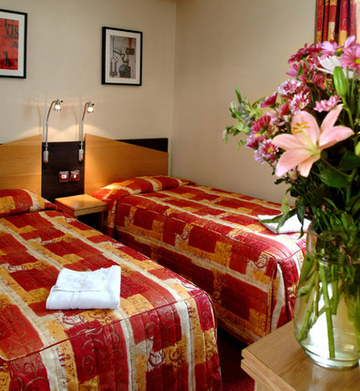 Comfort Inn Buckingham Palace - Twin Room