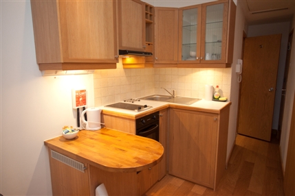 Studios2Let Apartments Cartwright Gardens - Kitchen Studio Apartment - Patio