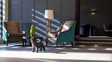 The Lodge Hotel -