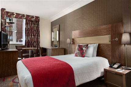 Hilton London Olympia Hotel - Single Room