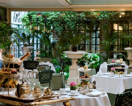 Chesterfield Mayfair Hotel - Afternoon Tea in the Conservatory