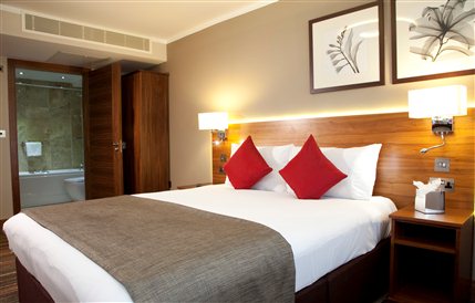 Best Western Palm Hotel London - Double room