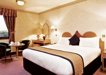 Copthorne Hotel Effingham Gatwick - Double Room