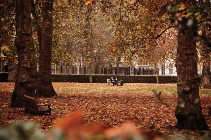 Millennium Hotel London Mayfair - Hotel over looks Grosvenor Square