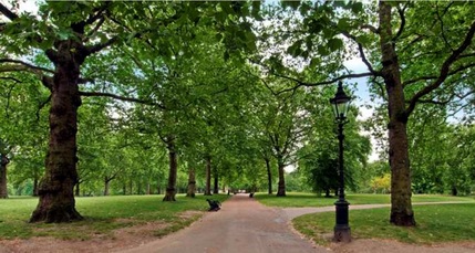Hilton London Green Park Hotel - Green Park