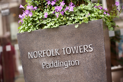 Norfolk Towers Paddington - Exterior