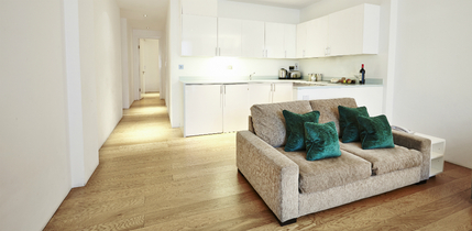 Go Native London Bridge Apartments - Apartment