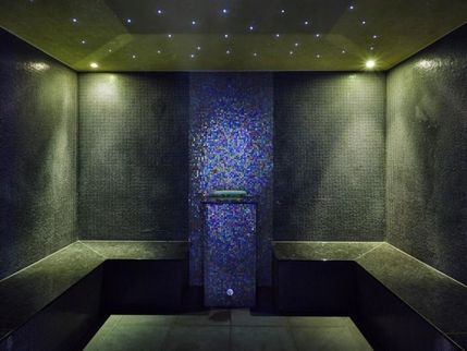 Crowne Plaza London-Battersea - Steam room